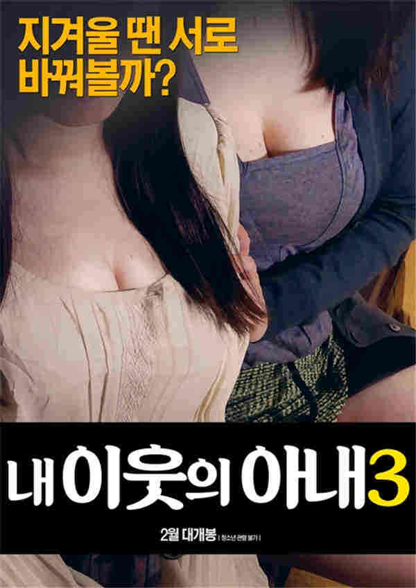 我的邻居妻子3海报剧照