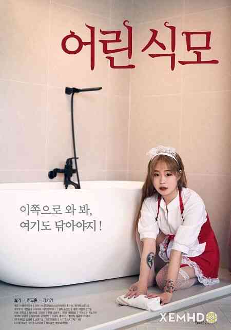 年轻女仆海报剧照