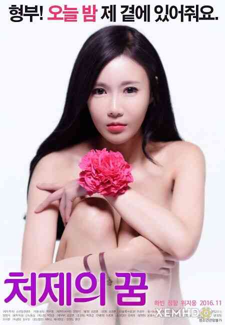 Sister In Law Dream海报剧照