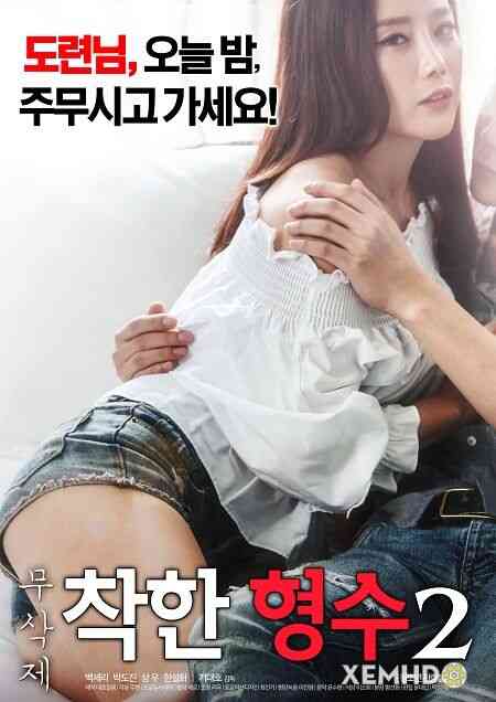 Nice Sister In Law 2海报剧照