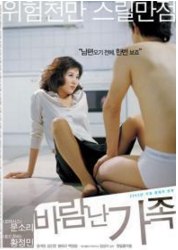 淑女的欲望海报剧照