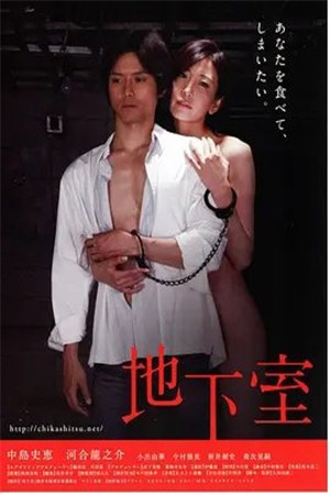 地下室HD海报剧照