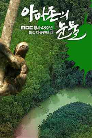 晚上欲望HD海报剧照
