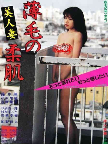 美人妻：薄毛的柔肌HD海报剧照
