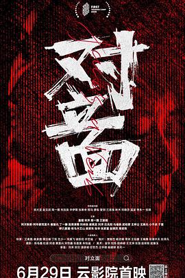 对立面海报剧照