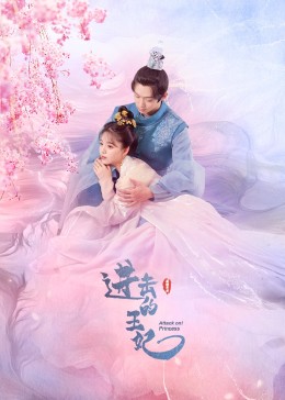 进击的王妃海报剧照