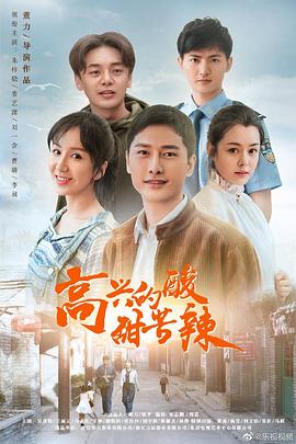 高兴的酸甜苦辣海报剧照