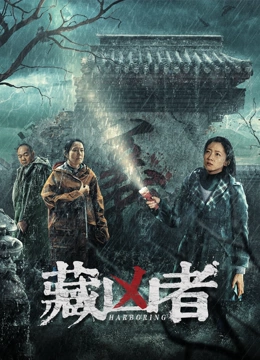 藏凶者海报剧照
