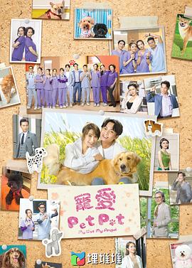 宠爱Pet Pet（国语）海报剧照