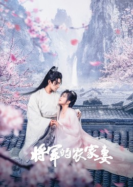 将军的农家妻海报剧照