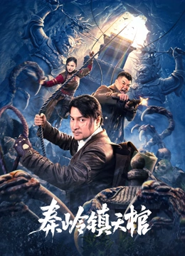 秦岭镇天棺海报剧照