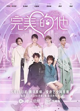 完美的他海报剧照