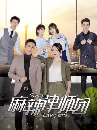 麻辣律师团海报剧照