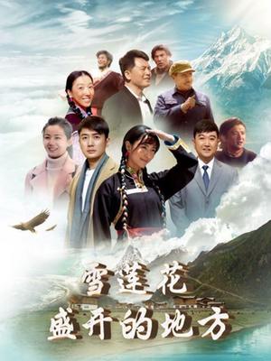 雪莲花盛开的地方海报剧照