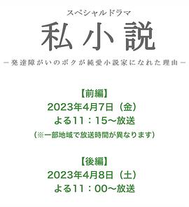 私小说海报剧照