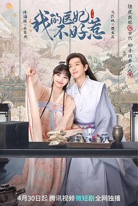 我的医妃不好惹海报剧照