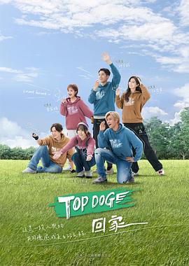 TOP DOG海报剧照