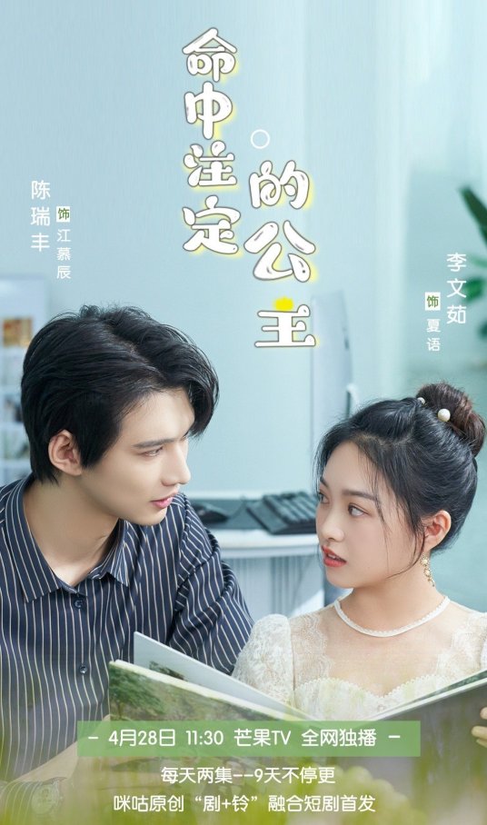 命中注定的公主海报剧照