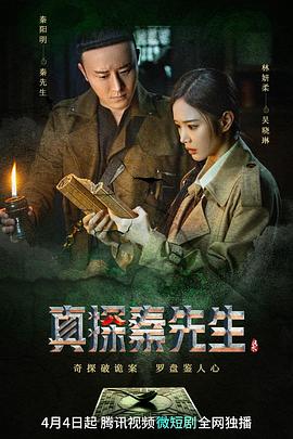 真探秦先生海报剧照