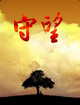守望海报剧照