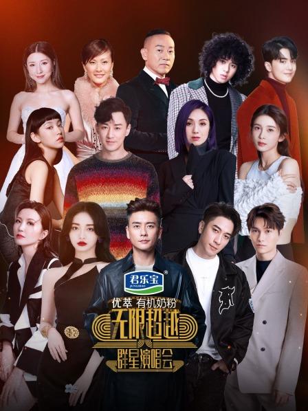 无限超越群星演唱会海报剧照