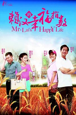 赖汉的幸福指数海报剧照