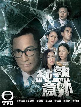 纯熟意外海报剧照