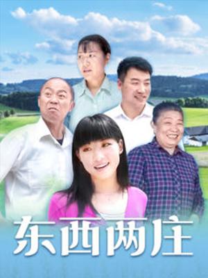 东西两庄海报剧照