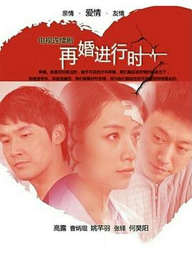再婚进行时海报剧照