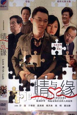 情与缘海报剧照