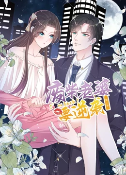 逆袭归来：我的废柴老婆 第三季海报剧照