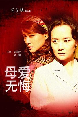 母爱无悔海报剧照