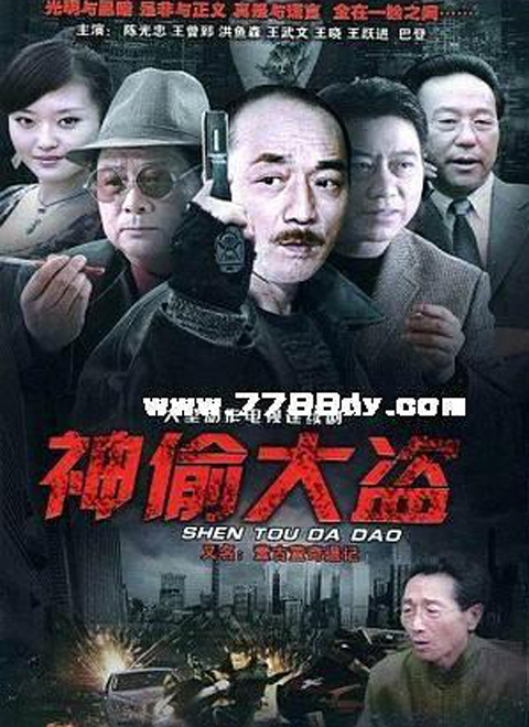 神偷大盗海报剧照