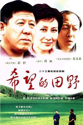 希望的田野海报剧照