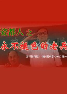 瓷都人之永不褪色的老兵海报剧照
