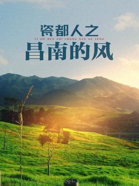 昌南的风海报剧照