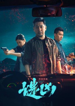 刑侦档案·谜凶海报剧照