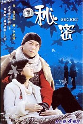秘密海报剧照