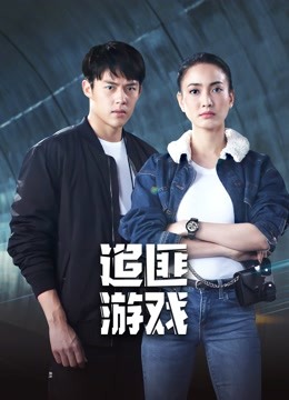 追匪游戏海报剧照
