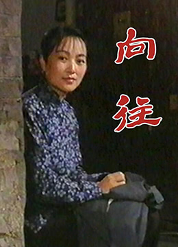 向往海报剧照