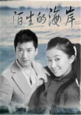 陌生的海岸海报剧照