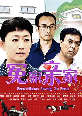 冤家亲家海报剧照