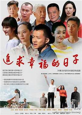追求幸福的日子海报剧照