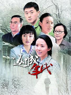 返城年代海报剧照