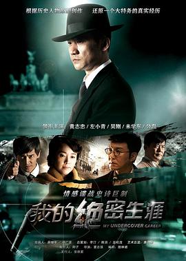我的绝密生涯海报剧照