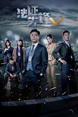法证先锋5（国语版）海报剧照