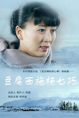 豆腐西施杨七巧海报剧照