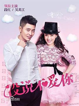 没说不爱你海报剧照