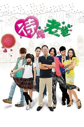 待嫁老爸海报剧照