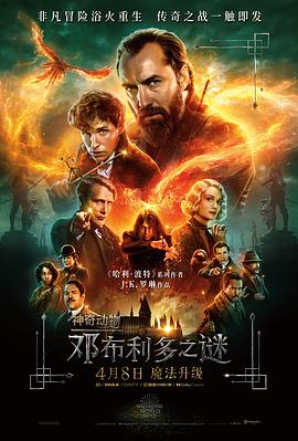 神奇动物：邓布利多之谜海报剧照
